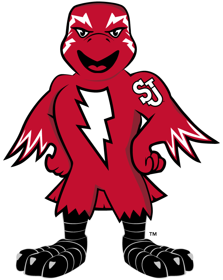 St. John's Red Storm 2013-2015 Mascot Logo v2 DIY iron on transfer (heat transfer)